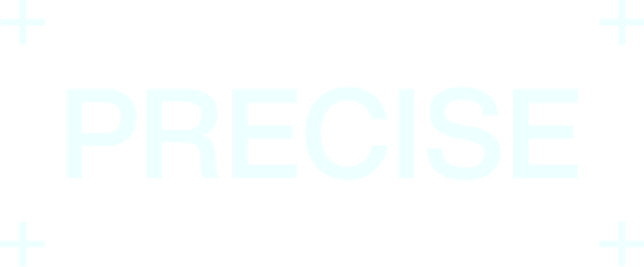 Precise.AI Logo